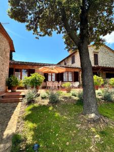 a house with a tree in the yard at Casa il Cipresso in Castelnuovo Berardenga