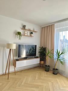a living room with a flat screen tv and plants at Apartament Zielone Serce Miasta in Mrągowo