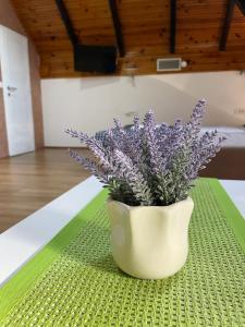 Galeriebild der Unterkunft Achillius apartmani Arilje in Arilje