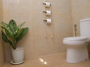 a bathroom with a toilet and a potted plant at New Balengku Dua Hotel - Adults Only in Gili Islands +27 photos