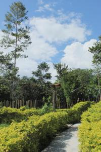 Jardín al aire libre en Waylla Eco Refugio