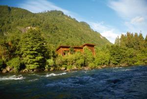 柯纳里佩Cabaña Orilla de Río的树荫下的小屋