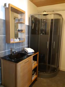 een badkamer met een douche en een zwarte wastafel bij Gîte des Bujours in Saint-Bris-des-Bois