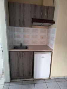 a small kitchen with a sink and a dishwasher at Amelies Apartments in Paralia Katerinis