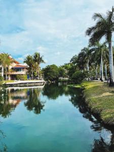 une rivière bordée de palmiers dans l'établissement Cozy Terrace @ Blue House, à Puerto Aventuras