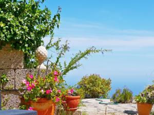 Un grupo de flores en macetas en una pared. en Casa Rosa, Arico Viejo La Sabinita - baden, wandern, klettern, Individualurlaub jenseits des Massentourismus,, en La Sabinita