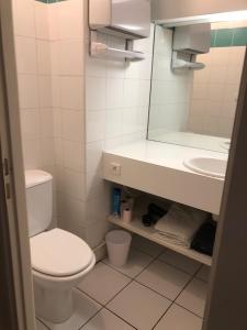 a bathroom with a toilet and a sink and a mirror at Grand studio style bordelais dans le triangle d'or in Bordeaux