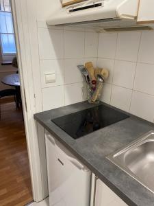 a kitchen with a counter top and a sink at Grand studio style bordelais dans le triangle d'or in Bordeaux