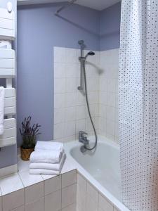 un baño con ducha y bañera en Appartement calme, parking privé, en Schiltigheim 9 fotos más