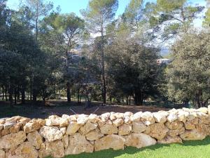 a stone wall in front of some trees at Charmant T2 au calme in Vidauban +3 photos