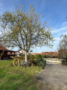 a tree in a yard next to a fence at B&B Lukač in Kutina