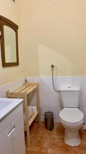 bagno con servizi igienici bianchi e specchio di Casa da Tia Julia a Avis Altre 9 foto