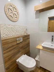 a bathroom with a toilet and a sink at Siwa Skała in Kościelisko +79 photos