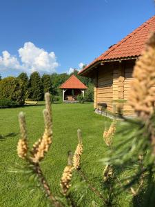 eine Blockhütte auf einem Feld neben einem Gebäude in der Unterkunft Ziedu pirts in Auciems