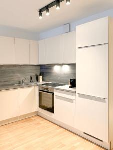 Cuina o zona de cuina de City Apartment Graz