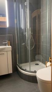 y baño con ducha, aseo y lavamanos. en AAA Chalet, newly renovated with Sauna and Mountain view Allegra RoJo, en Scuol