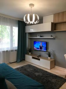 Μια τηλεόραση ή/και κέντρο ψυχαγωγίας στο Apartament VADUZ