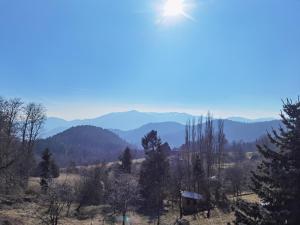 Příroda nedaleko apartmánu