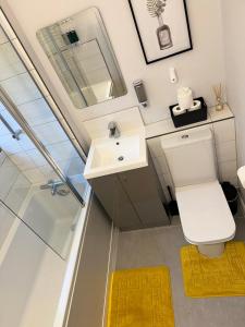 a bathroom with a toilet and a sink and a shower at NHS Workers and Students Haven - The Bee Hive in Reading