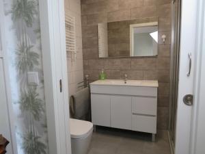 a bathroom with a sink and a toilet and a mirror at Quinta De Oliveiras in Beco +40 photos
