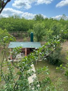 Κήπος έξω από το Guesthouse SANIKO