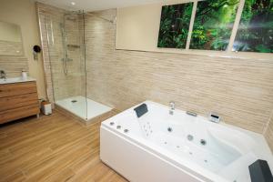uma casa de banho com uma banheira, um chuveiro e um lavatório. em Appartement 2 chambres et balnéo proximité Dunkerque em Dunkerque