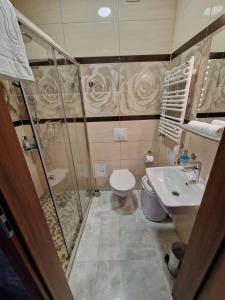 ein Bad mit einer Dusche, einem WC und einem Waschbecken in der Unterkunft Apartament 10 z ogrodem in Szklarska Poręba