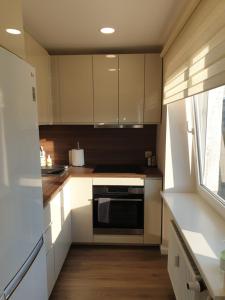 Η κουζίνα ή μικρή κουζίνα στο Jūrmalas apartamenti