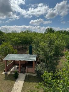 Κήπος έξω από το Guesthouse SANIKO