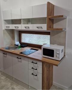 eine Küche mit einer Spüle und einer Mikrowelle auf der Theke in der Unterkunft Apartament 10 z ogrodem in Szklarska Poręba