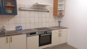 een keuken met een wastafel en een fornuis top oven bij Townhouse CityCentre in Klagenfurt