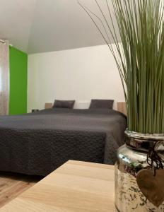 Postel nebo postele na pokoji v ubytování Apartmány IVETA