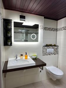 ein Bad mit einem Waschbecken und einem WC in der Unterkunft Rheinblick Appartements in Remagen