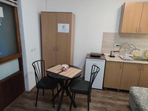 a small kitchen with a table and chairs in a room at Studio Elizabeta in Soko Banja