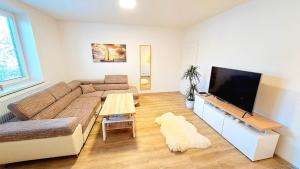 Foto dalla galleria di Na Jezérkách a Vacenovice