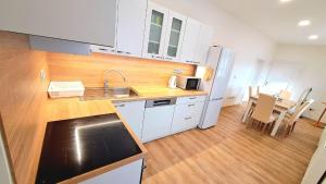 Foto dalla galleria di Na Jezérkách a Vacenovice Altre 9 foto