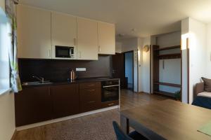Kuchyňa alebo kuchynka v ubytovaní Apartmány Kohoutek a Slepička v Novohradských horách