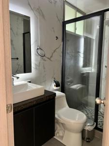 ein Bad mit einem WC, einem Waschbecken und einer Dusche in der Unterkunft Hotel Amazonas Suite , habitación sencilla in Nueva Loja