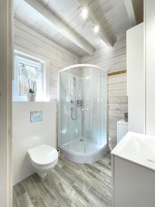 a bathroom with a shower and a toilet and a sink at LaSpokój in Siemiatycze