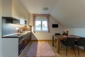 Kuchyňa alebo kuchynka v ubytovaní Apartmány Kohoutek a Slepička v Novohradských horách