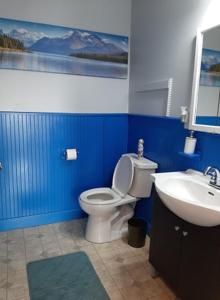 a blue bathroom with a toilet and a sink at Close to center in Winnipeg