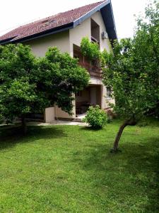 Zahrada ubytování Apartmani Filip