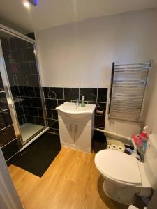 a bathroom with a toilet and a sink and a shower at Pond Cottage in Purley