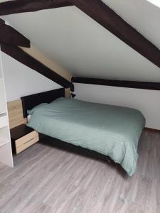 1 dormitorio con cama verde y suelo de madera en L'ancre de la Seille en Château-Salins