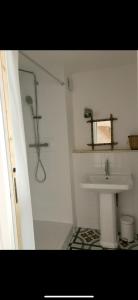 a white bathroom with a sink and a shower at Suite Bergame in Caluire-et-Cuire
