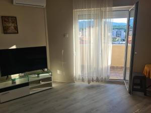 TV a/nebo společenská místnost v ubytování Apartmani Loznica