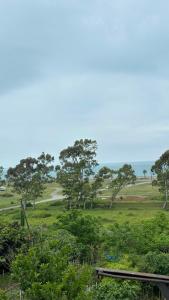 a field with trees and the ocean in the background at Tatas Place in Batumi