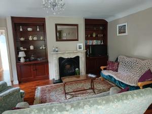 a living room with a couch and a fireplace at Bushmount Lodge in Clonakilty