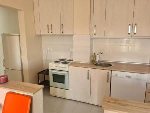 Kuchyň nebo kuchyňský kout v ubytování Apartmani Loznica