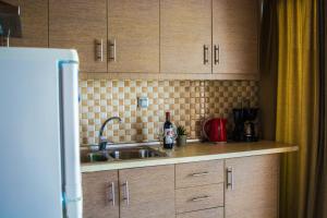 Kuchyň nebo kuchyňský kout v ubytování Fanis seafront apartments